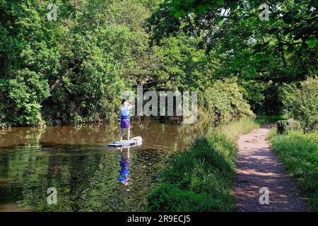 Un uomo di mezza età pagaia sulla navigazione del fiume Wey vicino a Pyrford in una tranquilla giornata estiva soleggiata Surrey Inghilterra Regno Unito Foto Stock