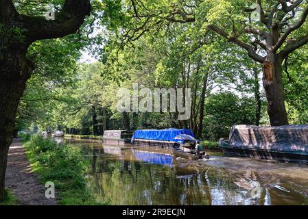 Una piccola barca con motore fuoribordo che naviga lungo il canale di navigazione del fiume Wey a Pyrford in una soleggiata giornata estiva, Surrey, Inghilterra, Regno Unito Foto Stock