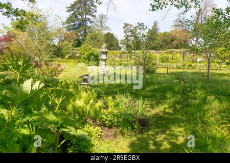 Percorso attraverso prato erboso non tagliato, Heale House e giardini, Middle Woodford, Salisbury, Wiltshire, Inghilterra, REGNO UNITO Foto Stock