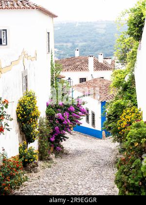Tradizionali case in pietra bianca con tetti piastrellati e vari cespugli fioriti decorano le pareti delle case e la strada lastricata in pietra giù nella città vecchia Foto Stock