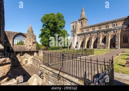 Dunfermline Abbey Fife, Scozia, Regno Unito Foto Stock