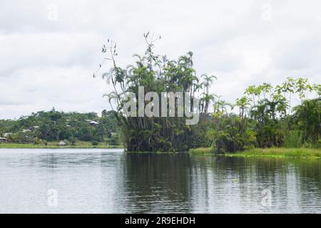 Vista dal lago Cuipari nella giungla peruviana. Foto Stock