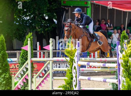 Spettacolo di salto al Royal Highland Show, Scozia Foto Stock