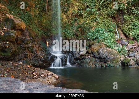 Cascata di Montezuma nella natura della Costa Rica Foto Stock