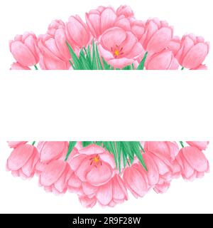 Bordo di tulipani rosa ad acquerello disegnato a mano su sfondo bianco. Scrapbook, cartolina, invito di nozze, album Foto Stock