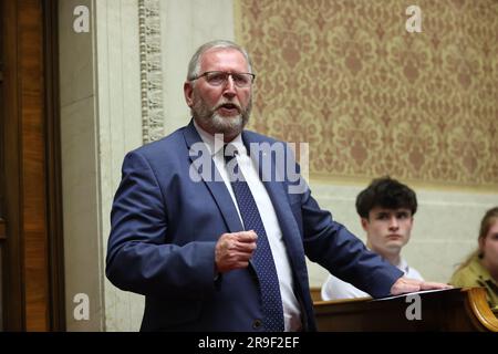 Il leader dell'UUP Doug Beattie parla durante un evento a Stormont in occasione del 50° anniversario dell'omicidio del senatore della SDLP Paddy Wilson. Wilson è stato ucciso dai combattenti lealisti per la libertà dell'Ulster (UFF) il 26 1973 giugno. Data immagine: Lunedì 26 giugno 2023. Foto Stock