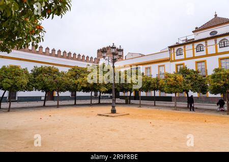 Siviglia, Spagna-24 febbraio 2022: Il Giardino delle arance, El Patio de Los Naranjos, il cortile della grande Moschea di Siviglia costruito durante il regno di Foto Stock