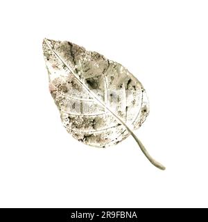 Foglia autunnale astratta isolata su sfondo bianco. Illustrazione ad acquerello di un'impronta colorata essiccata in autunno per decorazioni erboristiche, stampe, poster Foto Stock