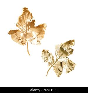 Impronte di colore foglia d'acero. Texture naturale isolata su sfondo bianco. Illustrazione ad acquerello di foglie per design autunnale, confezione, cornice, stampa Foto Stock