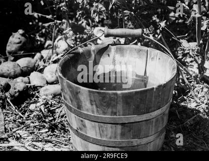 La fotografa Dorothea Lange fotografa l'America durante e dopo la grande depressione per la Farm Security Administration (FSA). Fotografia di Dorothea Lange Foto Stock