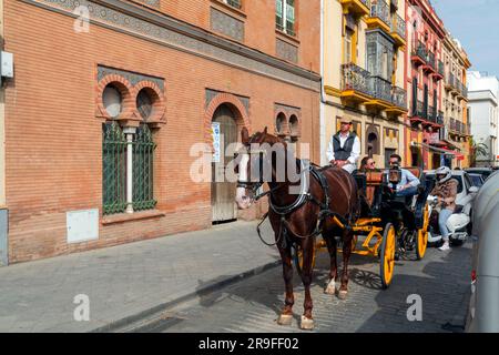 Siviglia, Spagna - 24 febbraio 2022: Carrozze turistiche a cavallo che offrono tour della città nel centro di Siviglia, Spagna. Foto Stock