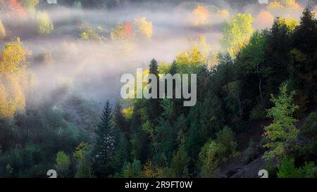 Paesaggio autunnale della Rogue River Valley al mattino presto con nebbia e nebbia Foto Stock