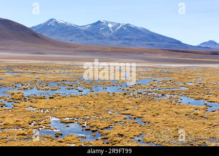 Paesaggio nella zona di El Tatio nel nord del Cile Foto Stock