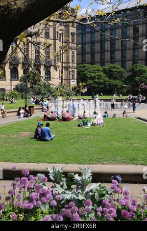 I Peace Gardens di fronte al municipio gotico, nel centro di Sheffield, South Yorkshire, Regno Unito Foto Stock