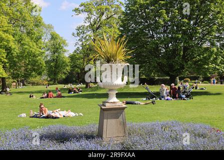 I giardini botanici Sheffield, nei pressi di Ecclesall Road a Sheffield, con 5000 specie di piante in 19 acri di terreno, progettati da Robert Marnock, Regno Unito Foto Stock