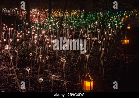 Le installazioni di luce in fibra ottica di Bruce Munro ai Longwood Gardens Foto Stock