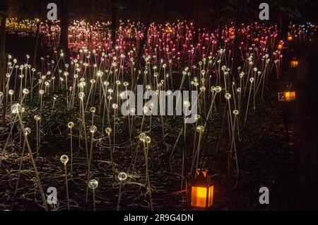 Le installazioni di luce in fibra ottica di Bruce Munro ai Longwood Gardens Foto Stock