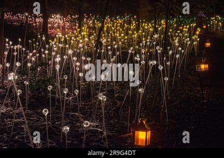 Le installazioni di luce in fibra ottica di Bruce Munro ai Longwood Gardens Foto Stock