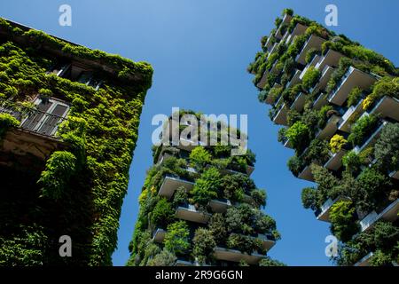 Milano 24 giugno 2023: Il Bosco verticale è un complesso di due edifici residenziali a torre progettati da Boeri Studio e situati nel quartiere di Milano Foto Stock