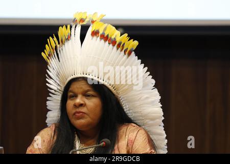 Ritratto di Sônia Guajara, ministro brasiliano dei popoli indigeni Foto Stock