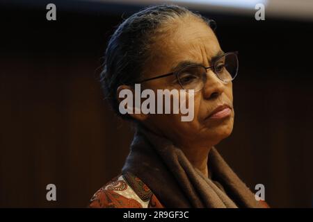 Ritratto di Marina Silva, ministro brasiliano dell'ambiente e dei cambiamenti climatici Foto Stock