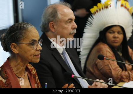 Ritratto di Marina Silva, Ministro dell'ambiente, Aloízio Mercadante, presidente della BNDES, e Sonia Guajajara, ministro dei popoli indigeni Foto Stock