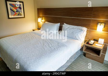 Fleming Island Jacksonville Florida, Holiday Inn Express & Suites Fleming Island, IHG Hotel, camera con letto king size Foto Stock