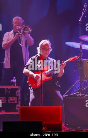 Walter Becker dei Jazz Rock Icons Steely Dan si esibisce dal vivo in concerto, Vector Arena, Auckland, nuova Zelanda Foto Stock