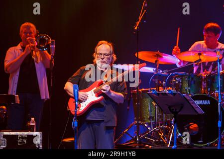 Walter Becker dei Jazz Rock Icons Steely Dan si esibisce dal vivo in concerto, Vector Arena, Auckland, nuova Zelanda Foto Stock
