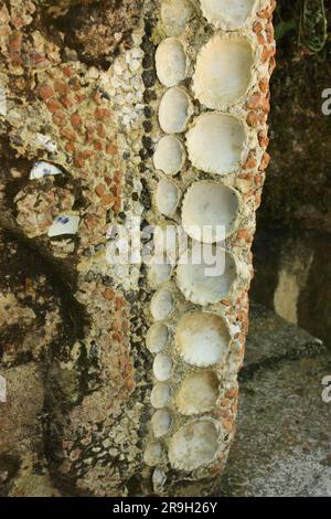 Conchiglie usate come decorazione nell'area della fontana del cortile, Convento dei Cappuccini, Sintra, Portogallo Foto Stock