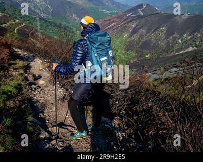 Allande, Spagna. 25 maggio 2023. Un pellegrino è visto camminare nel mezzo di un'area naturale bruciata. Lo scorso aprile una nuova ondata di incendi brucia le Asturie spagnole. Più di un mese dopo, i pellegrini che camminano lungo Puerto del Palo, che è una salita nella regione delle Asturie e fa anche parte del Camino Primitivo, uno dei Caminos de Santiago può ancora osservare i danni visibili agli alberi e ai campi. Si ritiene che questi incendi siano anche il risultato di azioni deliberate. (Foto di Ana Fernandez/SOPA Images/Sipa USA) credito: SIPA USA/Alamy Live News Foto Stock