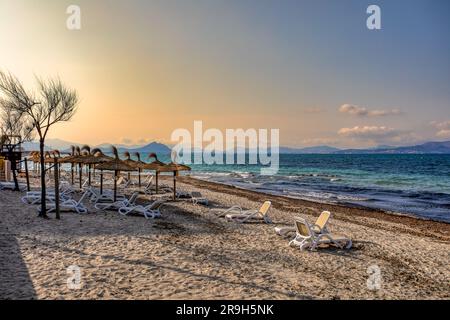 CAN Picafort Beach con ombrelloni di paglia e lettini, mattina senza persone, contro il mare turchese. CAN Picafort, Isole Baleari Mallorca S Foto Stock