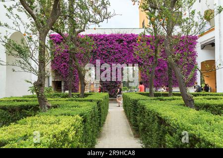 SIVIGLIA, SPAGNA - 21 MAGGIO 2017: Questo è uno degli angoli dei giardini dell'Alcazar di Siviglia con alberi di arancio e fiori ricci lungo la recinzione. Foto Stock