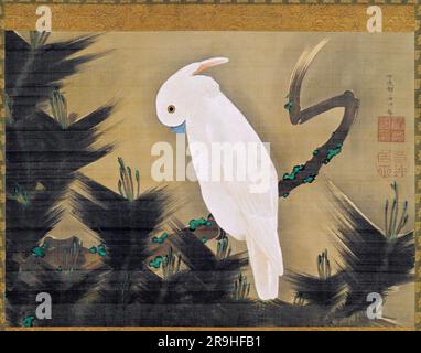 Itō Jakuchū, Cockatoo bianco su un ramo di pino, rotolo appeso in inchiostro e colore su seta, 1775-1799 Foto Stock