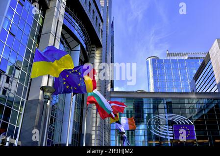 Ucraina e bandiere europee al Parlamento europeo, a Bruxelles Foto Stock