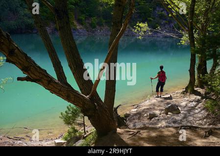 FRANCIA, ALPES DE HAUTE PROVENCE (04) MOUSTIERS SAINTE MARIE, TREK LUNGO LA ZONA CHIAMATA LA RUE D'EAU ALLA FINE DEL CANYON, PARCO NATURALE DEL VERDON Foto Stock