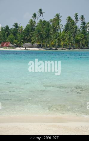 Spiaggia tropicale con palme durante una giornata di sole, Guna Yala Comarca, Panama - foto stock Foto Stock