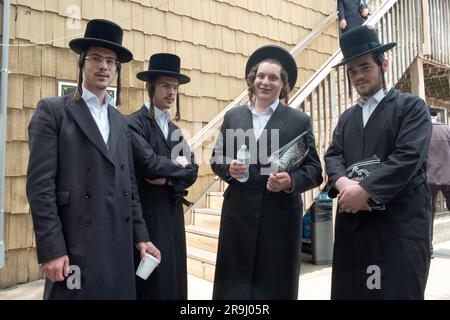 Ritratto in posa di 4 ragazzi chassidici inclusi gemelli. In una sinagoga a Monsey, Contea di Rockland, New York. Foto Stock