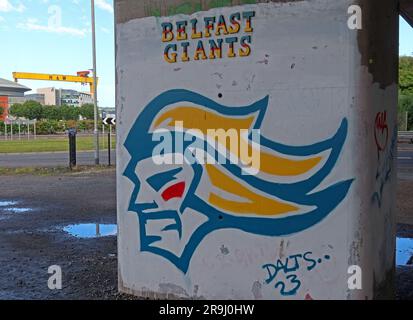 Graffiti dei Belfast Giants da Dalts 23, lungofiume, Titanic Quarter, in vista delle gru H&W Harland & Wolff Samson e Goliath & SSE Arena Foto Stock