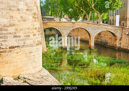 Il piccolo ponte ad arco che attraversa il fossato del Castello reale di Tarascon, in Francia Foto Stock