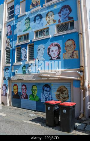 Street art a Denham Lane, Townsville, Queensland, Australia Foto Stock