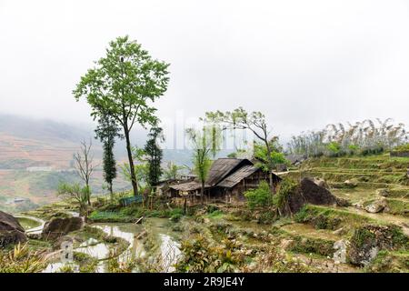 Vista panoramica su un pendio montano con una piccola fattoria di base e campi di riso terrazzati vicino a Sapa, Vietnam Foto Stock