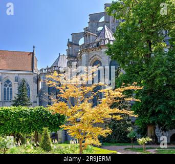 giardini presso la cattedrale gotica di Notre-Dame a Chartres nella regione Centre-Val de Loire, Francia Foto Stock