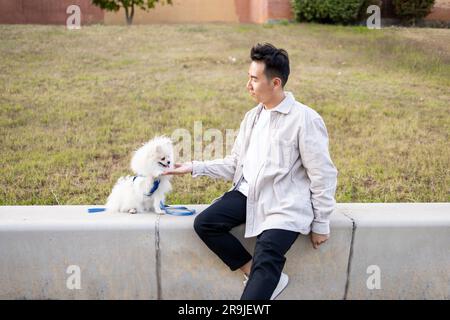 Proprietario di cane maschio asiatico in abbigliamento casual tenendo gamba di bianco soffice Pomeranian Spitz mentre si allena sul marciapiede della strada Foto Stock