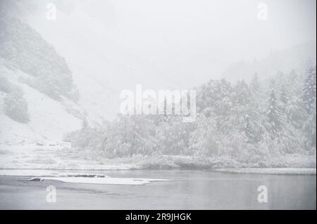Acqua del lago ghiacciata con coste innevate, alberi scuri e montagne sotto il cielo nuvoloso e cupo Foto Stock
