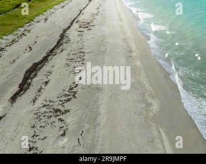 Foto aerea tracce di tartarughe Loggerhead sulla sabbia di Jupiter Island, Florida, stagione di nidificazione estate 2023 Foto Stock