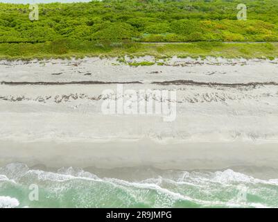 Foto aerea tracce di tartarughe Loggerhead sulla sabbia di Jupiter Island, Florida, stagione di nidificazione estate 2023 Foto Stock