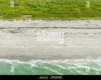 Foto aerea tracce di tartarughe Loggerhead sulla sabbia di Jupiter Island, Florida, stagione di nidificazione estate 2023 Foto Stock