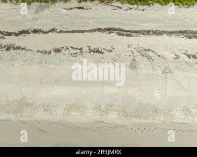 Foto aerea tracce di tartarughe Loggerhead sulla sabbia di Jupiter Island, Florida, stagione di nidificazione estate 2023 Foto Stock