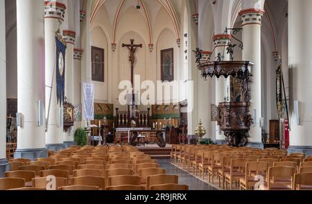 Wichelen, regione fiamminga orientale, Belgio, 16 giugno 2023 - interno della chiesa cattolica di Saint Gertrude Foto Stock